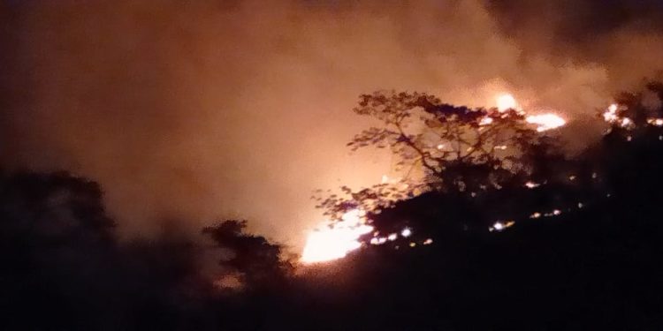 മലമ്പുഴയിൽ വീണ്ടും കാട്ടുതീ