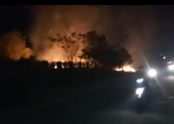 മലമ്പുഴമാട്ടുമന്ത  ശ്മശാനത്തിലെ ഉണക്കപ്പൂല്ലിന് തീപിടിച്ചു