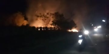 മലമ്പുഴമാട്ടുമന്ത  ശ്മശാനത്തിലെ ഉണക്കപ്പൂല്ലിന് തീപിടിച്ചു