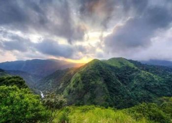 മണ്ണാർക്കാട് താലൂക്കിനെ വിഭജിച്ചു. അട്ടപ്പാടി താലൂക്ക് നിലവിൽ വന്നു.