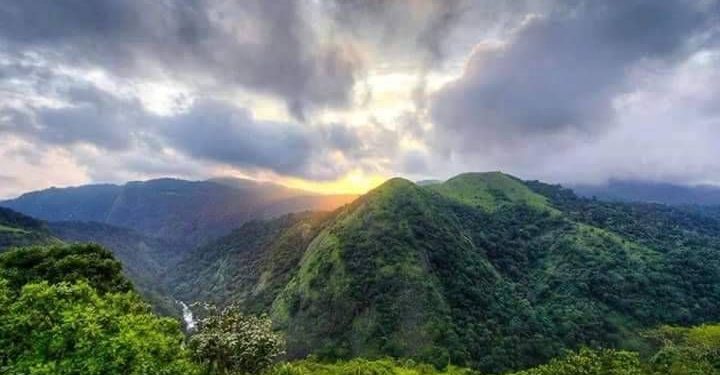 മണ്ണാർക്കാട് താലൂക്കിനെ വിഭജിച്ചു. അട്ടപ്പാടി താലൂക്ക് നിലവിൽ വന്നു.