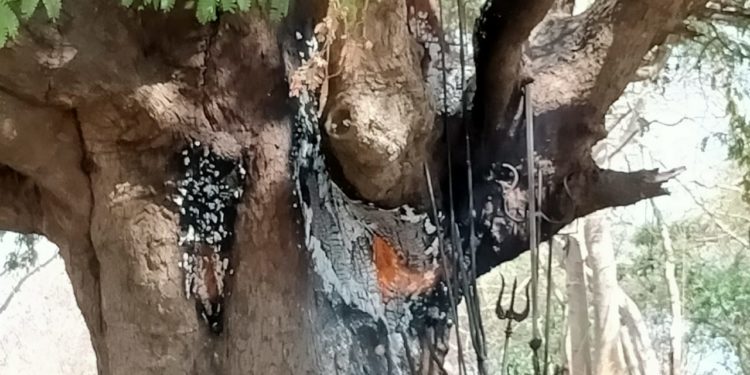 ക്ഷേത്രത്തോട് ചേർന്ന പുളിമരം കത്തി’ തീയണക്കാൻ ഫയർഫോഴ്സൊ ഫോറസ്റ്റൊ തയ്യാറായില്ലെന്ന് പരാതി