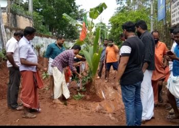 റോഡിൽ കൃഷിയിറക്കി പ്രതിഷേധിച്ചു
