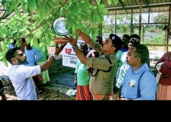 ജയിൽ കോമ്പൗണ്ടിൽ കിളികൾക്ക് തണ്ണീർ കുടങ്ങൾ ഒരുക്കി