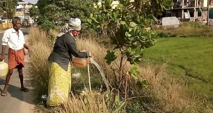 പാതയോരത്തെ ഫലവൃക്ഷ ചെടി നനച്ച് തൊഴിലുറപ്പ് തൊഴിലാളികൾ