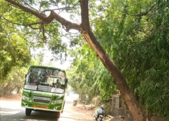 അപകടകരമായി റോഡരുകിലെ മരം