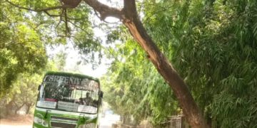 അപകടകരമായി റോഡരുകിലെ മരം
