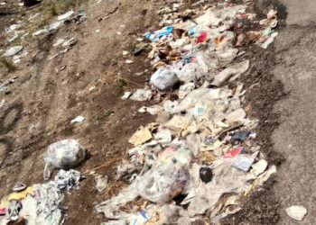 മാതാ കോവിൽ പരിസരത്തെ മാലിന്യം