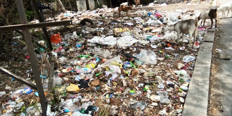 നഗരത്തിൽ നിറയെ മാലിന്യം: അധികൃതർ മൗനത്തിൽ
