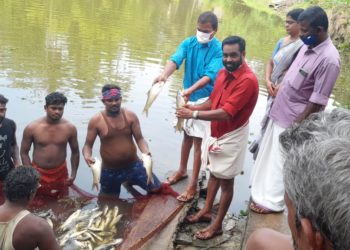 കുനിശ്ശേരിയിൽ മത്സ്യകൃഷി വിളവെടുപ്പ്