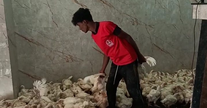 ഇറച്ചിക്കോഴി വില കുതിച്ചുയരുന്നു.