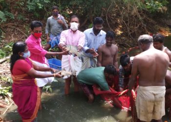 നെല്ലും മീനും വിളയിച്ച്   യുവകർഷകൻ  ജയദാസ്