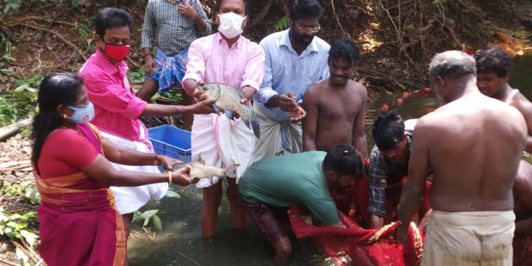 നെല്ലും മീനും വിളയിച്ച്   യുവകർഷകൻ  ജയദാസ്