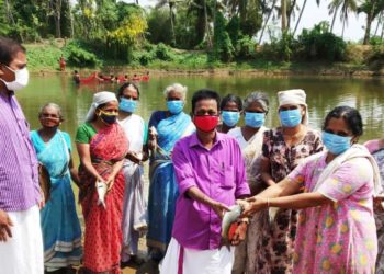 തേങ്കുറുശ്ശിയിൽ പെൺകരുത്തിലും മത്സ്യകൃഷി