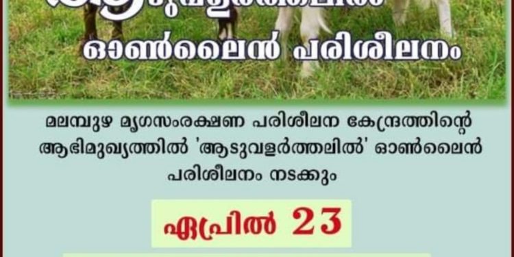 ആടുവളര്‍ത്തലില്‍ ഓണ്‍ലൈന്‍ പരിശീലനം 23ന്