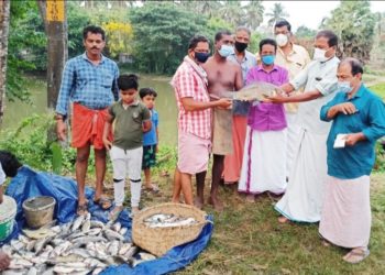അമ്പല കമ്മിറ്റിക്കാരുടെ കൂട്ടായ്മയിലും മത്സ്യകൃഷി വിളവെടുപ്പ്