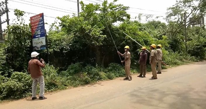 കെ.എസ്.ഇ.ബി. ടച്ചിങ്ങ്സ് വെട്ടിമാറ്റി