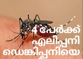 4 പേർക്ക്‌ എലിപ്പനി, ഡെങ്കിപ്പനിയെ സൂക്ഷിക്കണം