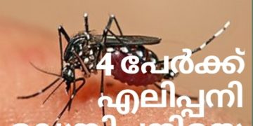 4 പേർക്ക്‌ എലിപ്പനി, ഡെങ്കിപ്പനിയെ സൂക്ഷിക്കണം