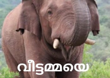 വീട്ടമ്മയെ കാട്ടാന ചവിട്ടിക്കൊന്നു