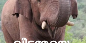 വീട്ടമ്മയെ കാട്ടാന ചവിട്ടിക്കൊന്നു