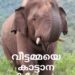 വീട്ടമ്മയെ കാട്ടാന ചവിട്ടിക്കൊന്നു