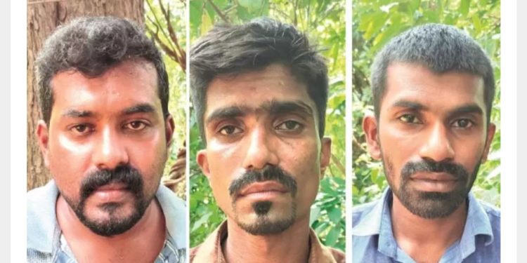 മലമ്പുഴയിൽ  1500 ലിറ്റർ വാറ്റ്​ പിടികൂടി