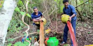 അട്ടപ്പാടിയിൽ 720 ലിറ്റർ വാഷ് കണ്ടെടുത്ത് നശിപ്പിച്ചു
