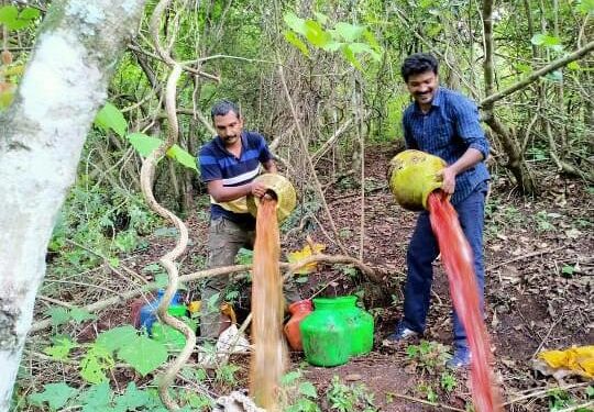 അട്ടപ്പാടിയിൽ 720 ലിറ്റർ വാഷ് കണ്ടെടുത്ത് നശിപ്പിച്ചു