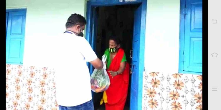 പച്ചക്കറി കിറ്റ് വിതരണം ചെയ്തു