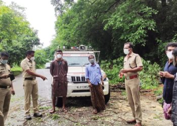മണ്ണൂരിൽ  റോഡിലേക്ക് വീണ മരം മുറിച്ചുമാറ്റി.