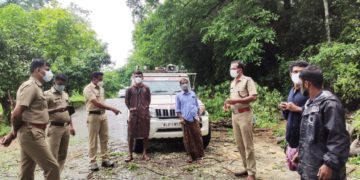 മണ്ണൂരിൽ  റോഡിലേക്ക് വീണ മരം മുറിച്ചുമാറ്റി.