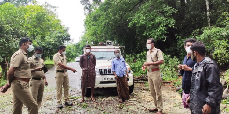മണ്ണൂരിൽ  റോഡിലേക്ക് വീണ മരം മുറിച്ചുമാറ്റി.