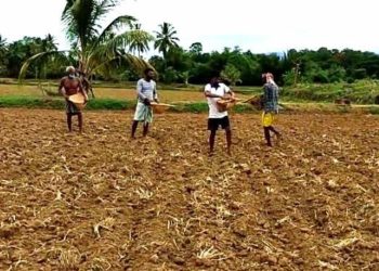 ഇളവ് പ്രഖ്യാപിക്കാത്തത് കാർഷിക മേഖലയെ ബാധിക്കും.