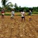 ഇളവ് പ്രഖ്യാപിക്കാത്തത് കാർഷിക മേഖലയെ ബാധിക്കും.
