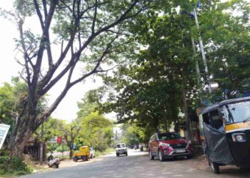കാലപ്പഴക്കം ചെന്ന വൃക്ഷം അപകടഭീഷണിയുയർത്തുന്നു.