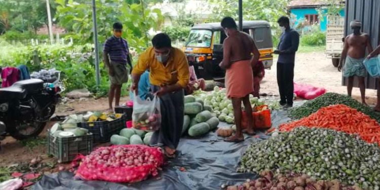 തന്നേ പോലെ തന്നെ സഹജീവികളേയും സ്നേഹിക്കുന്ന സലിം