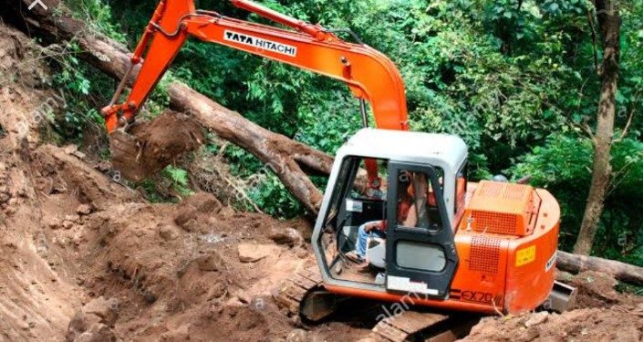 നെ​ല്ലി​യാ​മ്പ​തി റോ​ഡി​ൽ മ​രം ക​ട​പു​ഴ​കി വീ​ണു ഗ​താ​ഗ​തം ത​ട​സ​പ്പെ​ട്ടു .