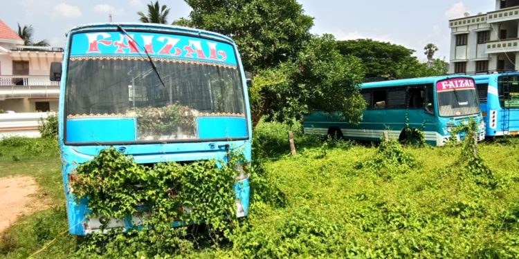 ബസുകൾക്ക് കാടുപിടിക്കുന്നു