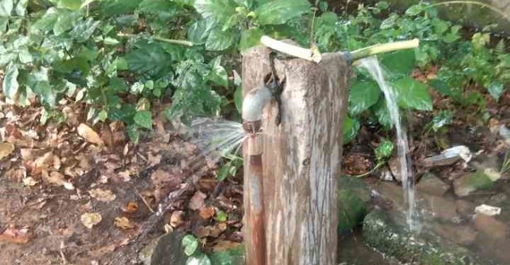 പൈപ്പുപൊട്ടി വെള്ളം പാഴാവുന്നു.