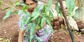 ജൂൺ -5. ലോക പരിസ്ഥിതിദിനം