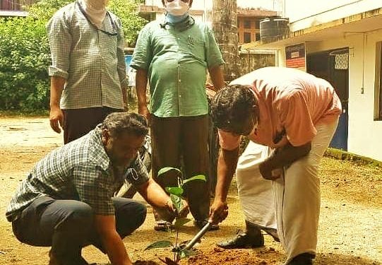 ഒരു തൈ നടാം നല്ല നാളേക്കു വേണ്ടി