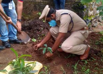 ഭക്ഷ്യകിറ്റ് വിതരണവും പരിസ്ഥിതി ദിനാചരണവും നടത്തി