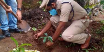 ഭക്ഷ്യകിറ്റ് വിതരണവും പരിസ്ഥിതി ദിനാചരണവും നടത്തി
