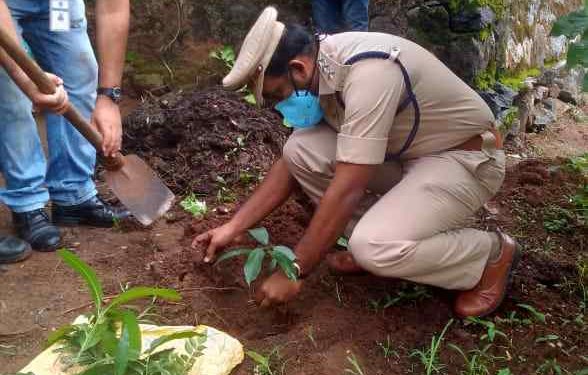 ഭക്ഷ്യകിറ്റ് വിതരണവും പരിസ്ഥിതി ദിനാചരണവും നടത്തി