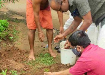 തിരുപുരായ്ക്കൽ ഭഗവതി ക്ഷേത്രത്തിൽ വൃക്ഷ തൈകൾ നട്ടുപിടിപ്പിച്ചു.