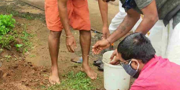 തിരുപുരായ്ക്കൽ ഭഗവതി ക്ഷേത്രത്തിൽ വൃക്ഷ തൈകൾ നട്ടുപിടിപ്പിച്ചു.