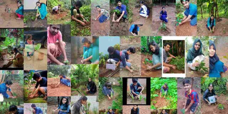 യുവക്ഷേത്ര കോളേജ് എൻ എസ് എസ് യൂണിറ്റ് ലോക പരിസ്ഥിതി ദിനം ആഘോഷിച്ചു.