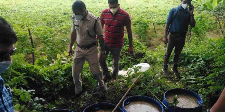 നെന്മാറ  ഒലിപ്പാറയിൽ വ്യാജവാറ്റ് കേന്ദ്രങ്ങളിൽ റെയ്ഡ്