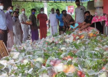 300 കുടുംബങ്ങൾക്കുള്ള പച്ചക്കറികിറ്റുകൾ വിതരണം ചെയ്തു